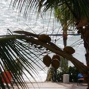 Meet your Posher, Jeff